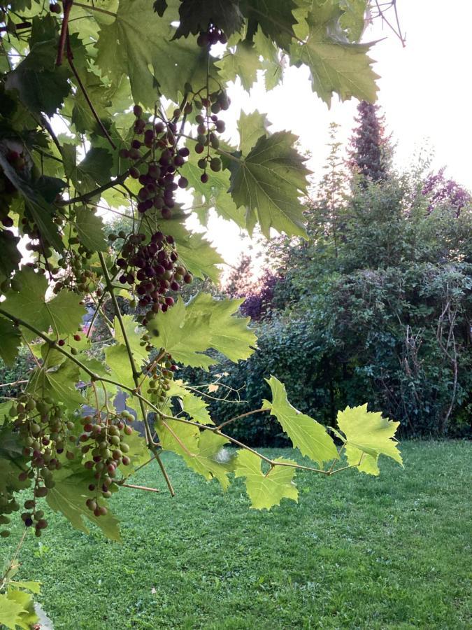Fewo Alkapa Hilzingen Buitenkant foto